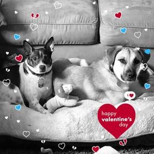 Meet your Posher, Keri